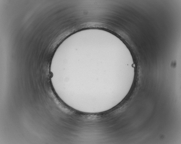 X0000112860841200909181759