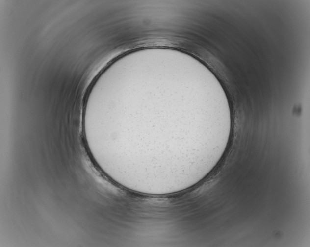 X0000112860844200909181759