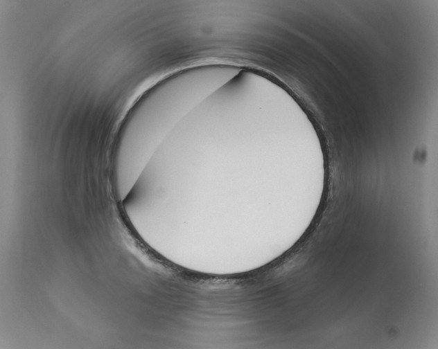 X0000112860846200909181759