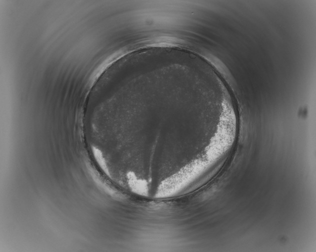 X0000112860850200909181759