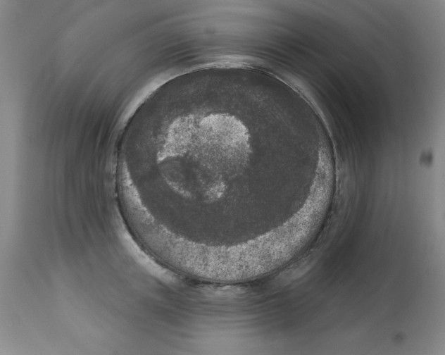 X0000112860851200909181759