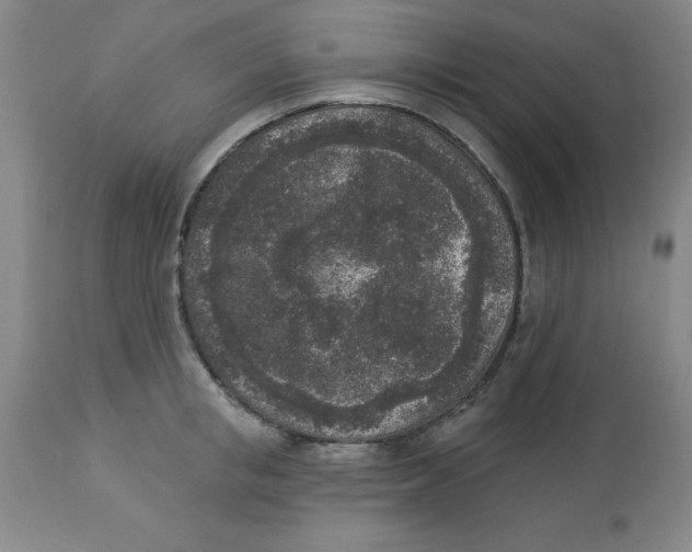 X0000112860853200909181759