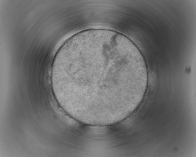 X0000112860856200909181759