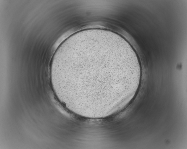 X0000112860858200909181759