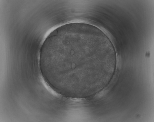 X0000112860862200909181759