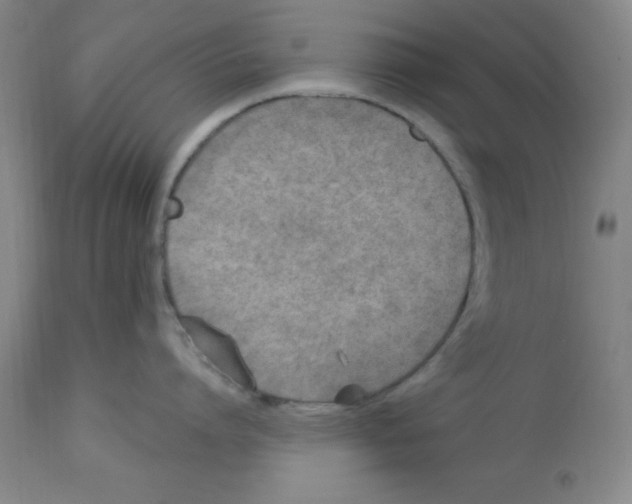 X0000112860864200909181759