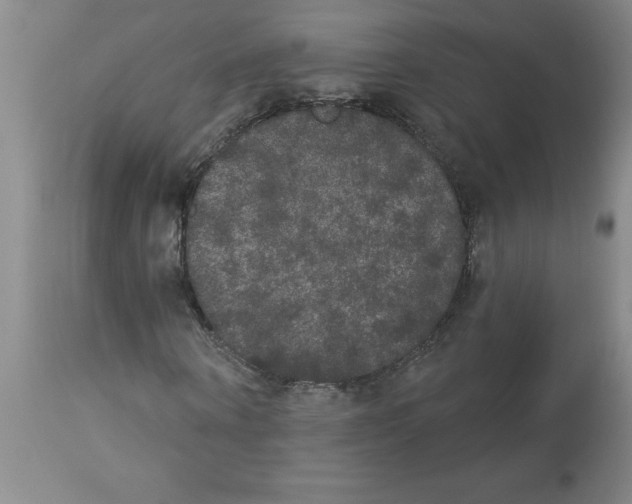 X0000112860866200909181759