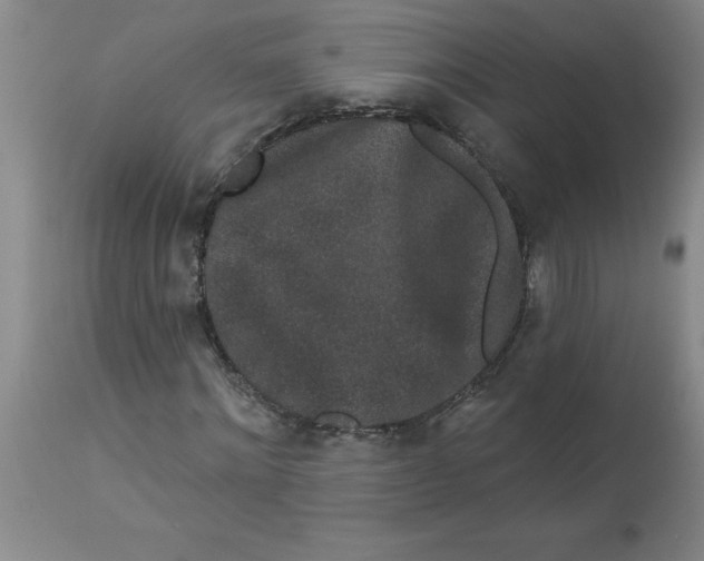 X0000112860868200909181759