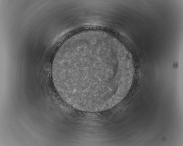 X0000112860870200909181759