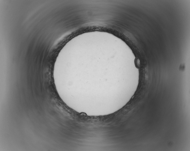 X0000112860872200909181758