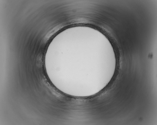 X0000112860873200909181758