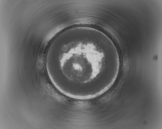 X0000112860874200909181758