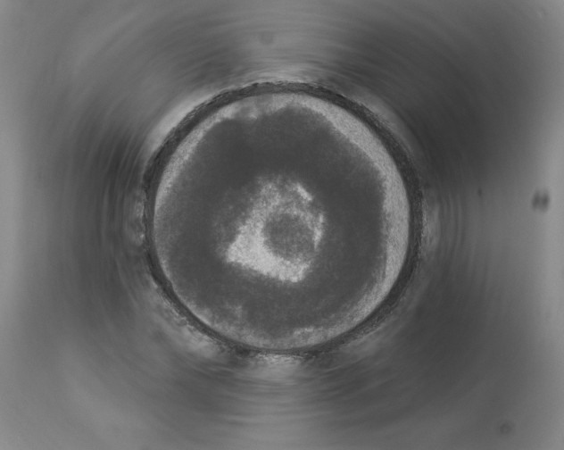 X0000112860878200909181758