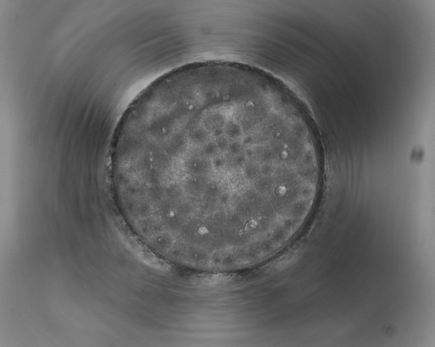 X0000112860879200909181758