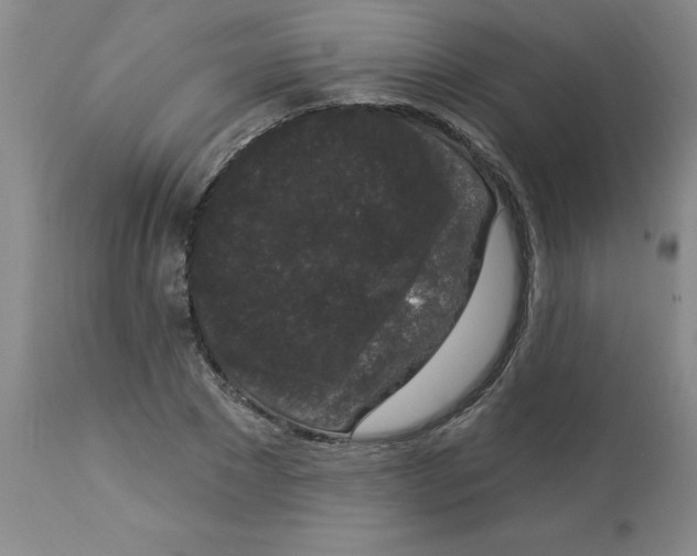 X0000112860881200909181758