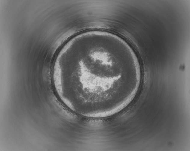 X0000112860882200909181758