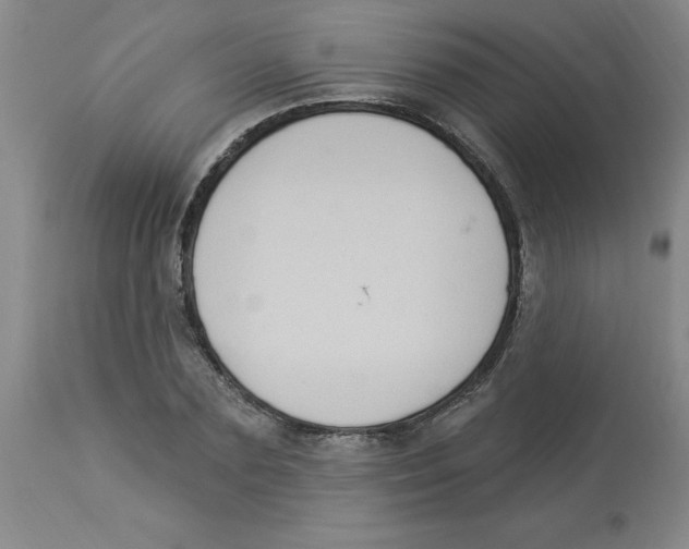 X0000112860883200909181758