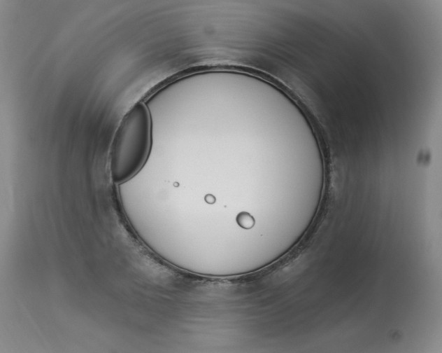 X0000112860885200909181758