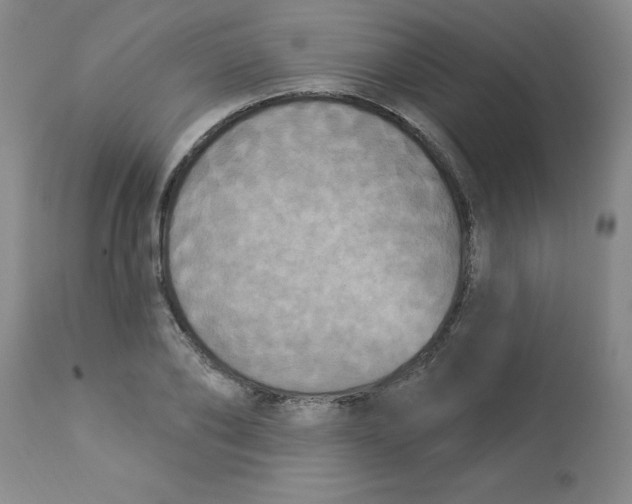 X0000112860886200909181758