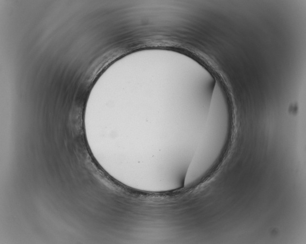 X0000112860889200909181758