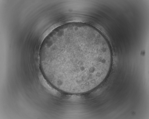 X0000112860890200909181758