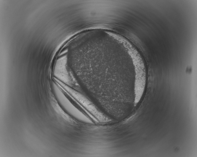 X0000112860892200909181758