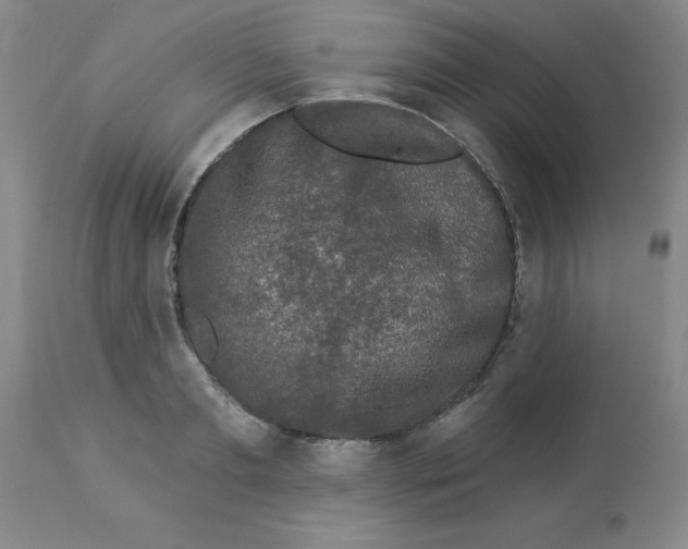 X0000112860893200909181758