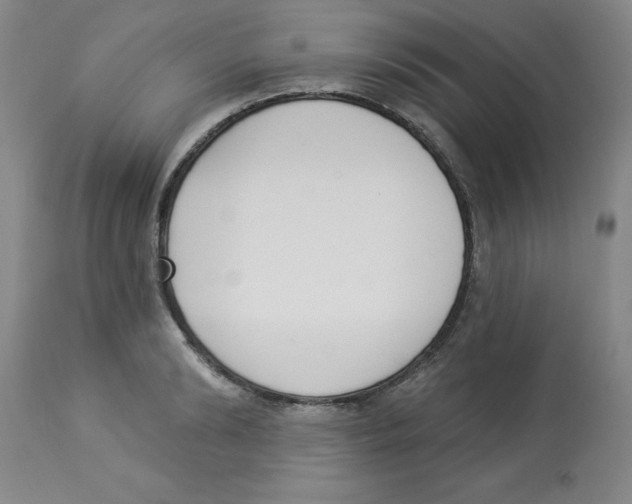 X0000112860894200909181758