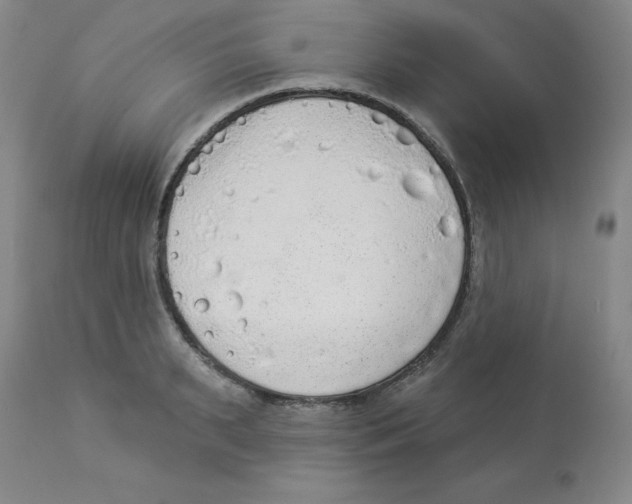 X0000112860895200909181758