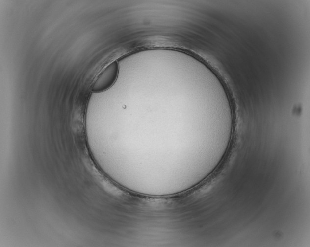 X0000112860897200909181758