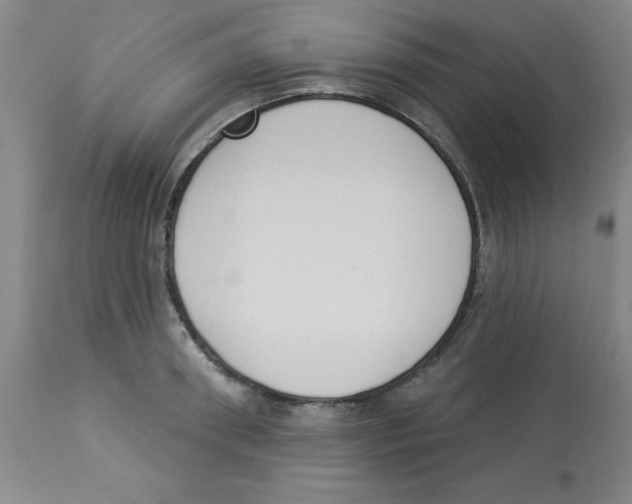 X0000112860898200909181758