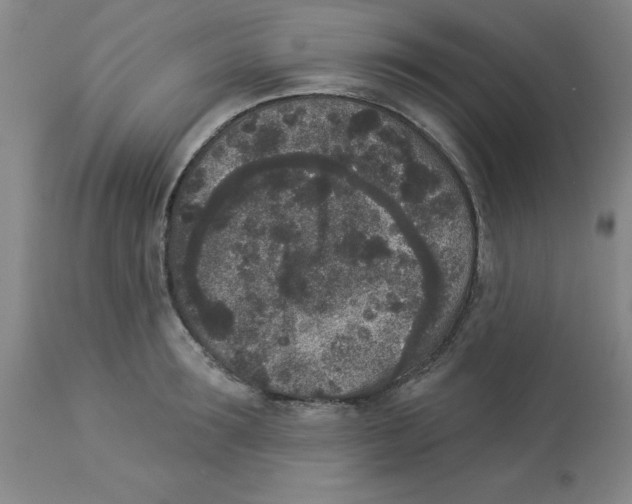 X0000112860899200909181758