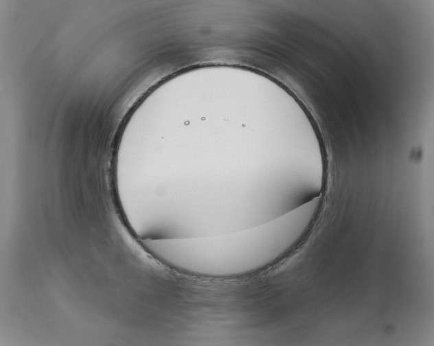 X0000112860901200909181758