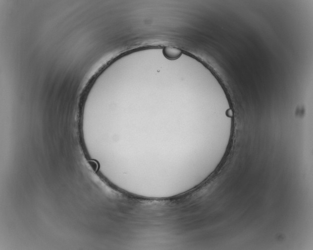 X0000112860902200909181758