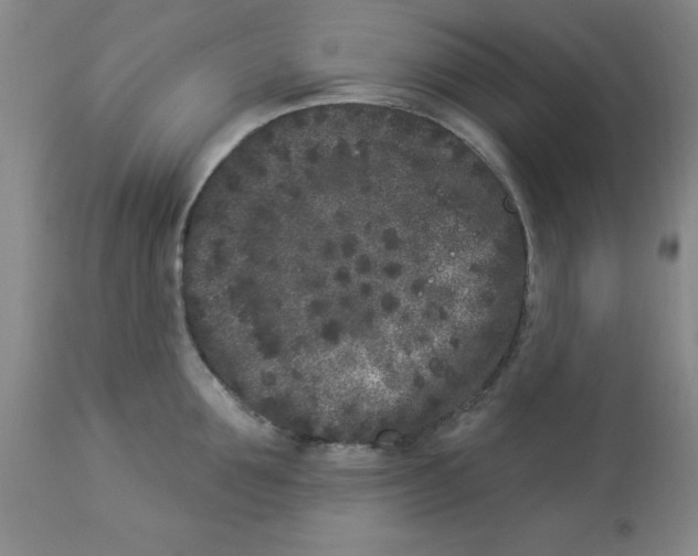 X0000112860907200909181758