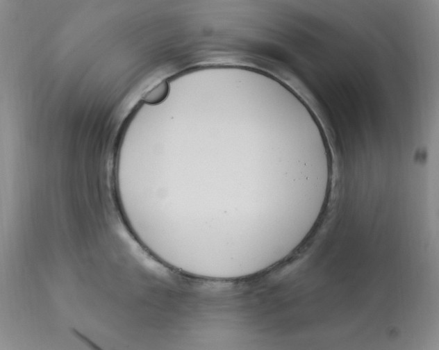 X0000112860909200909181758