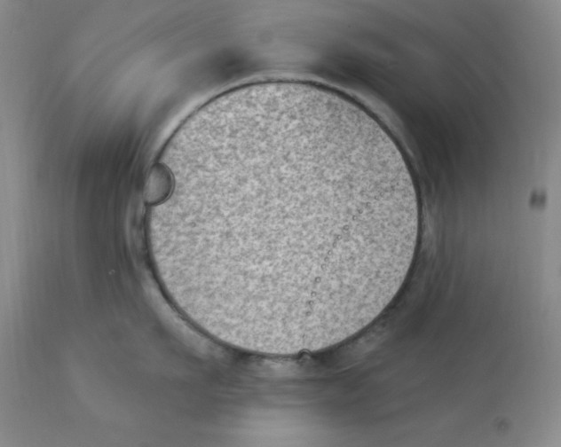 X0000112860911200909181758