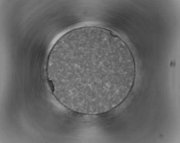 X0000112860912200909181758