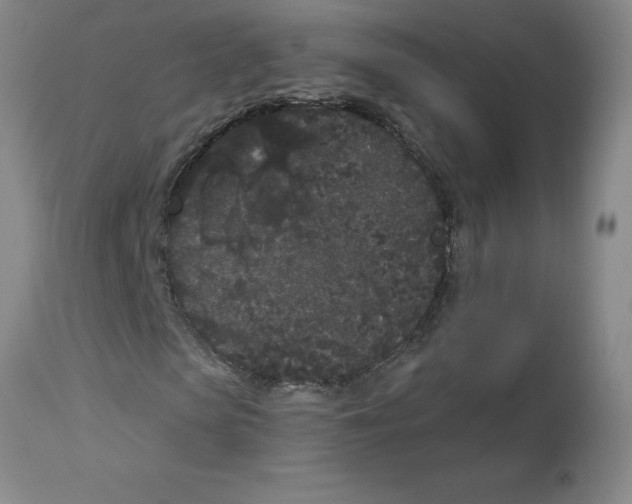 X0000112860913200909181757