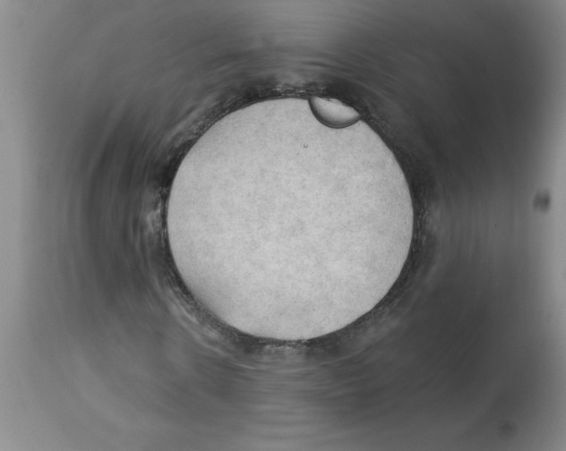 X0000112860914200909181757