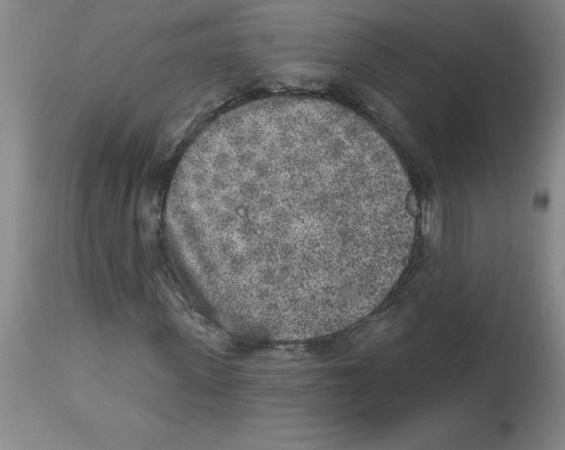 X0000112860915200909181757