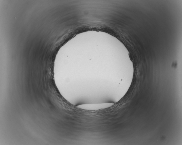 X0000112860916200909181757