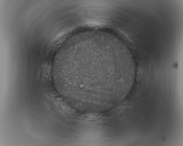 X0000112860917200909181757