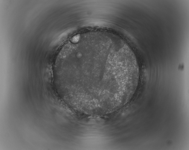 X0000112860918200909181757