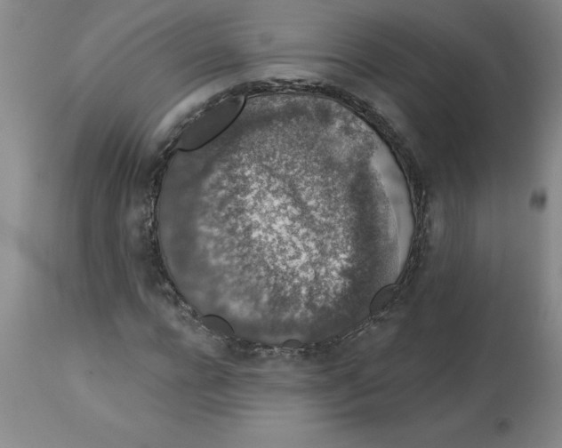 X0000112860920200909181757