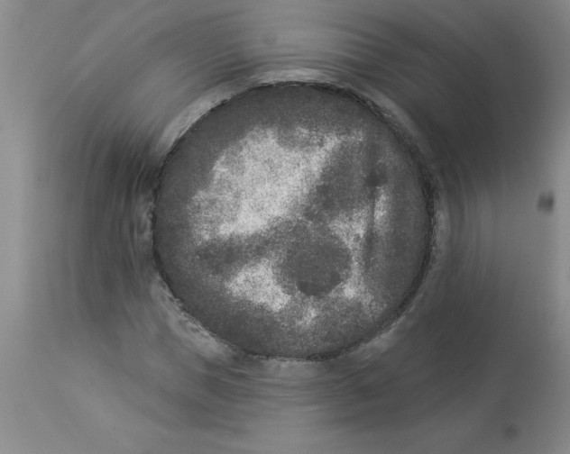 X0000112860921200909181757