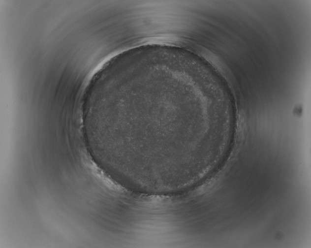 X0000112860923200909181757