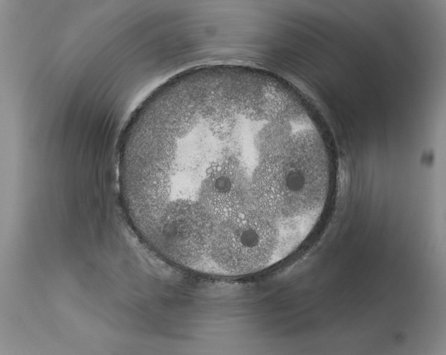 X0000112860925200909181757