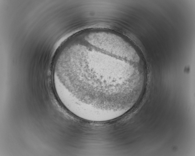 X0000112860928200909181757