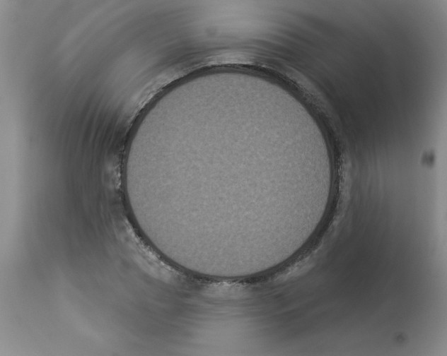 X0000112860929200909181757